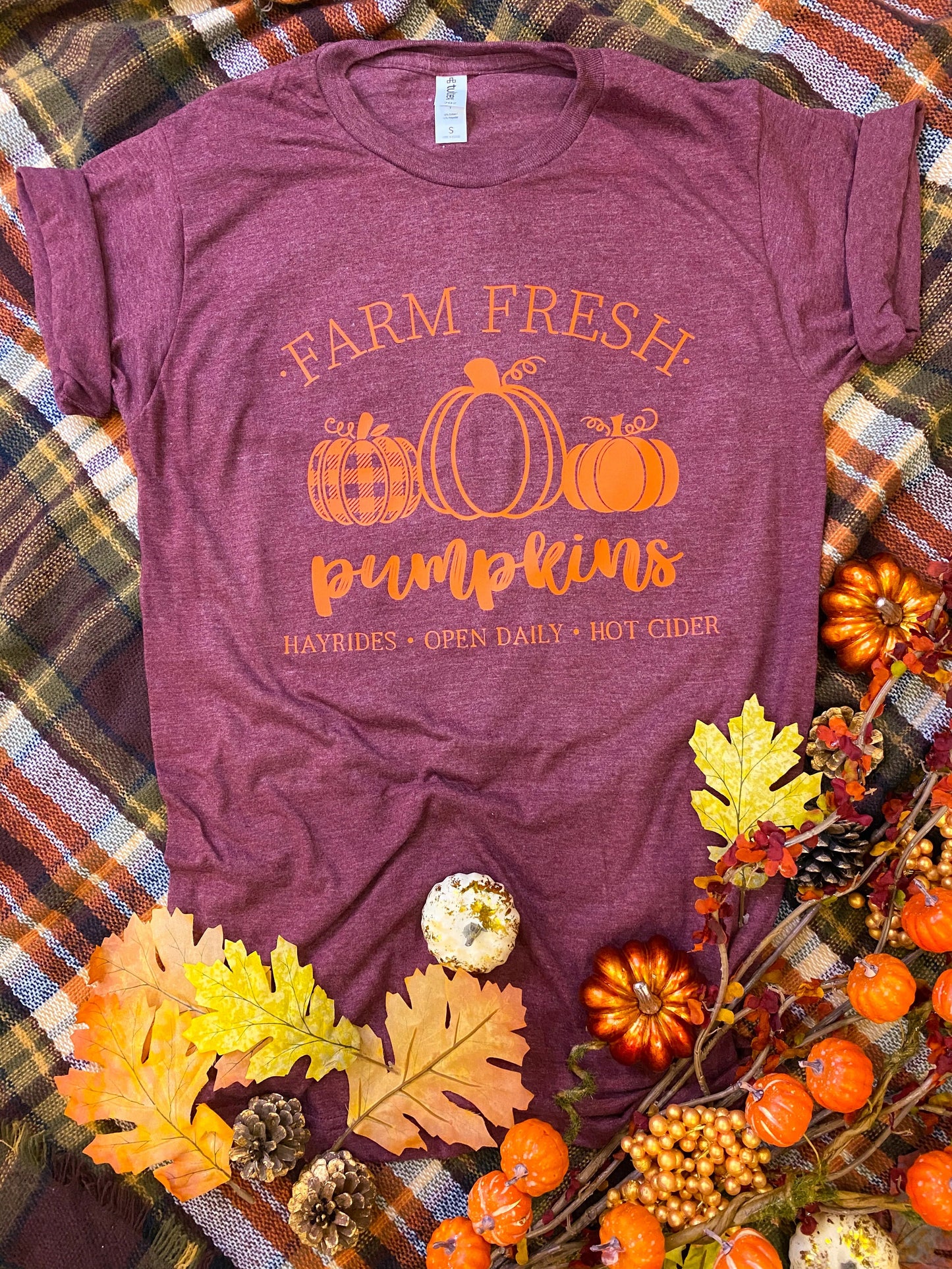 PREORDER: Farm Fresh Pumpkins Tee in Heathered Burgundy