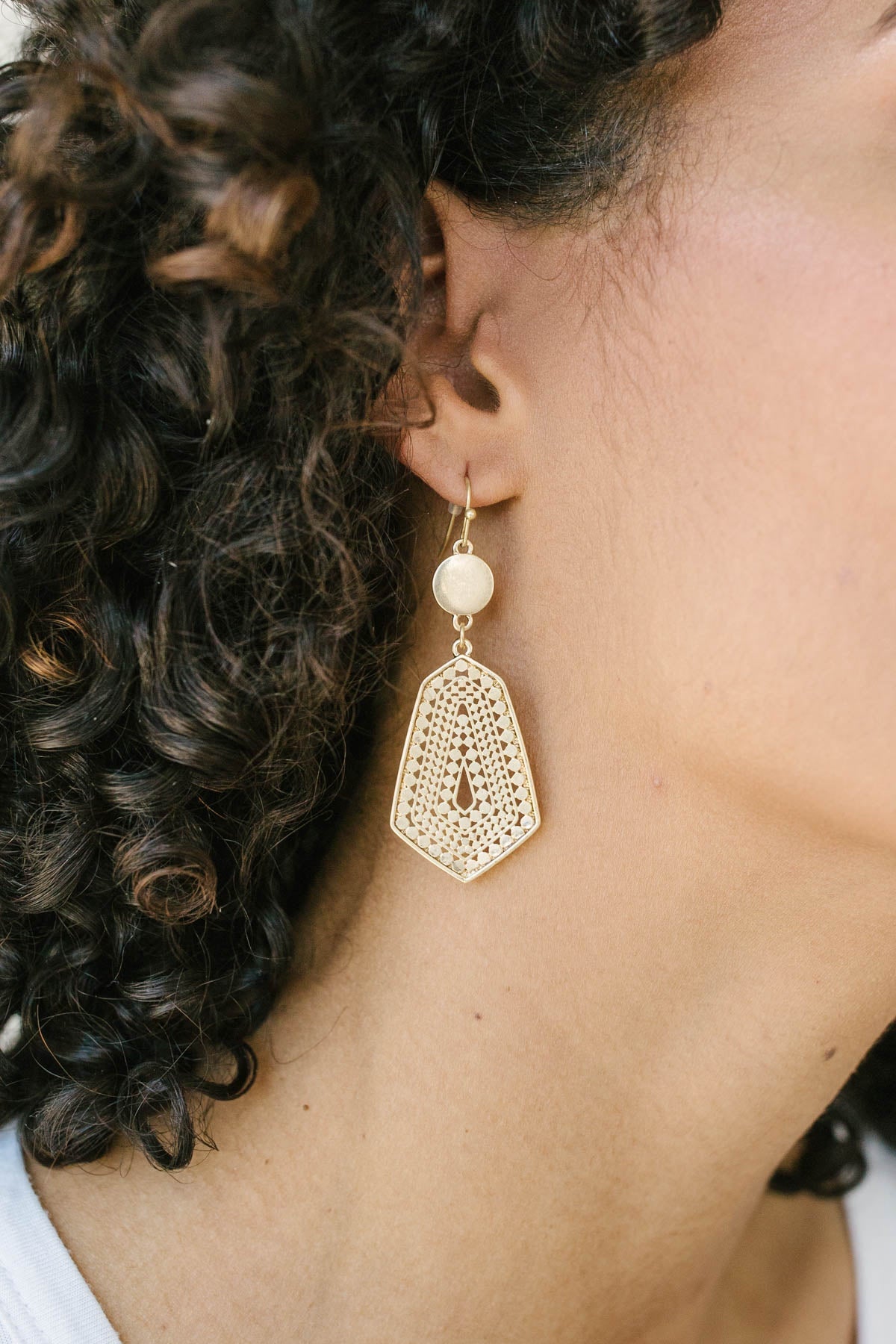 Geo Dangle Hook Earrings