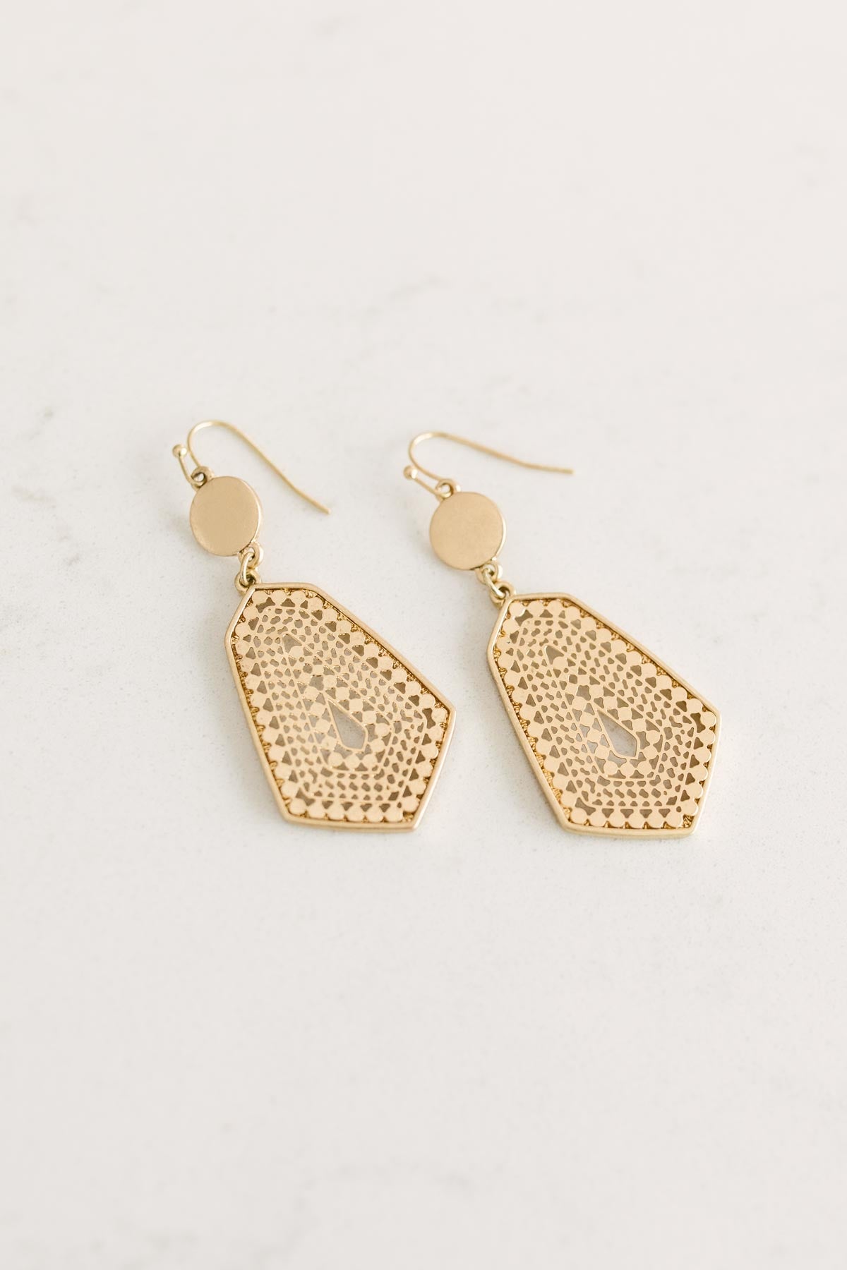 Geo Dangle Hook Earrings