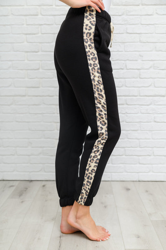 Side Panel Animal Print Sweatpants In Black