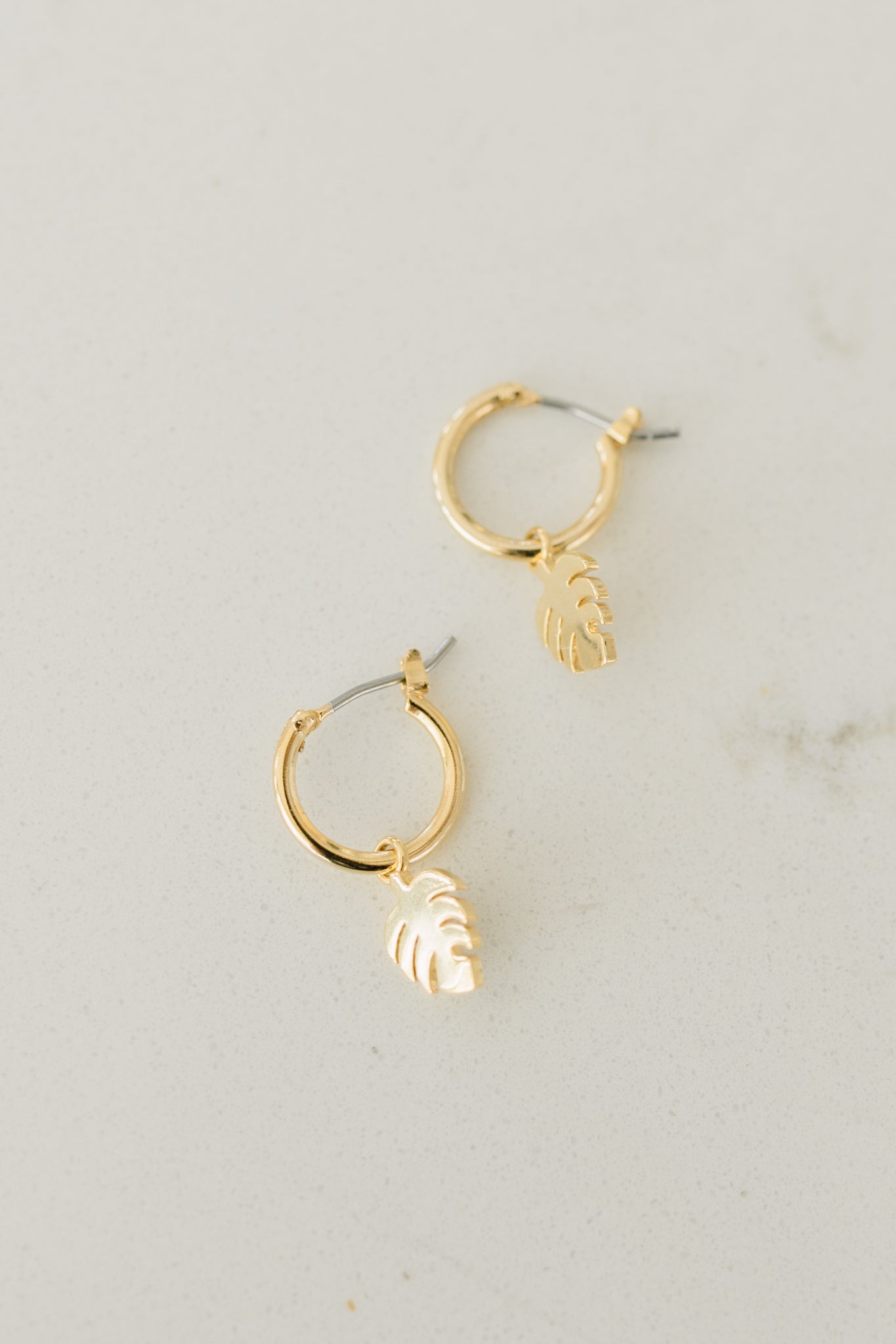 Tiny Palm Hoops