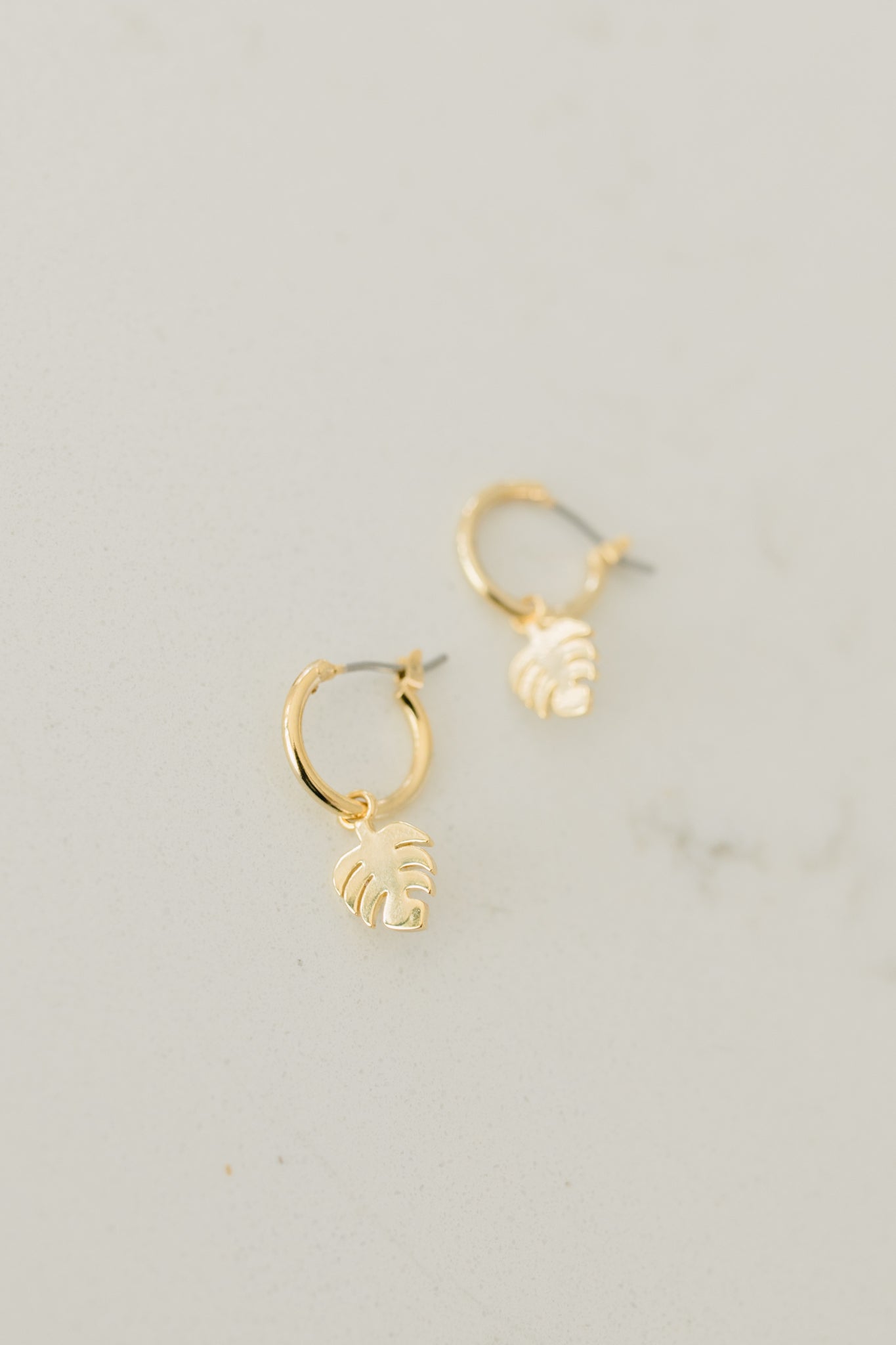 Tiny Palm Hoops